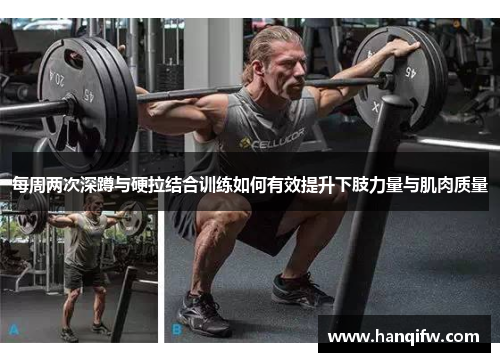 每周两次深蹲与硬拉结合训练如何有效提升下肢力量与肌肉质量